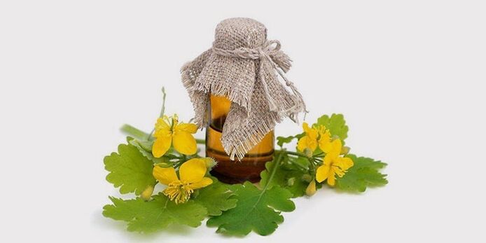 Chelidonium Oil for Foot Fungus Treatment